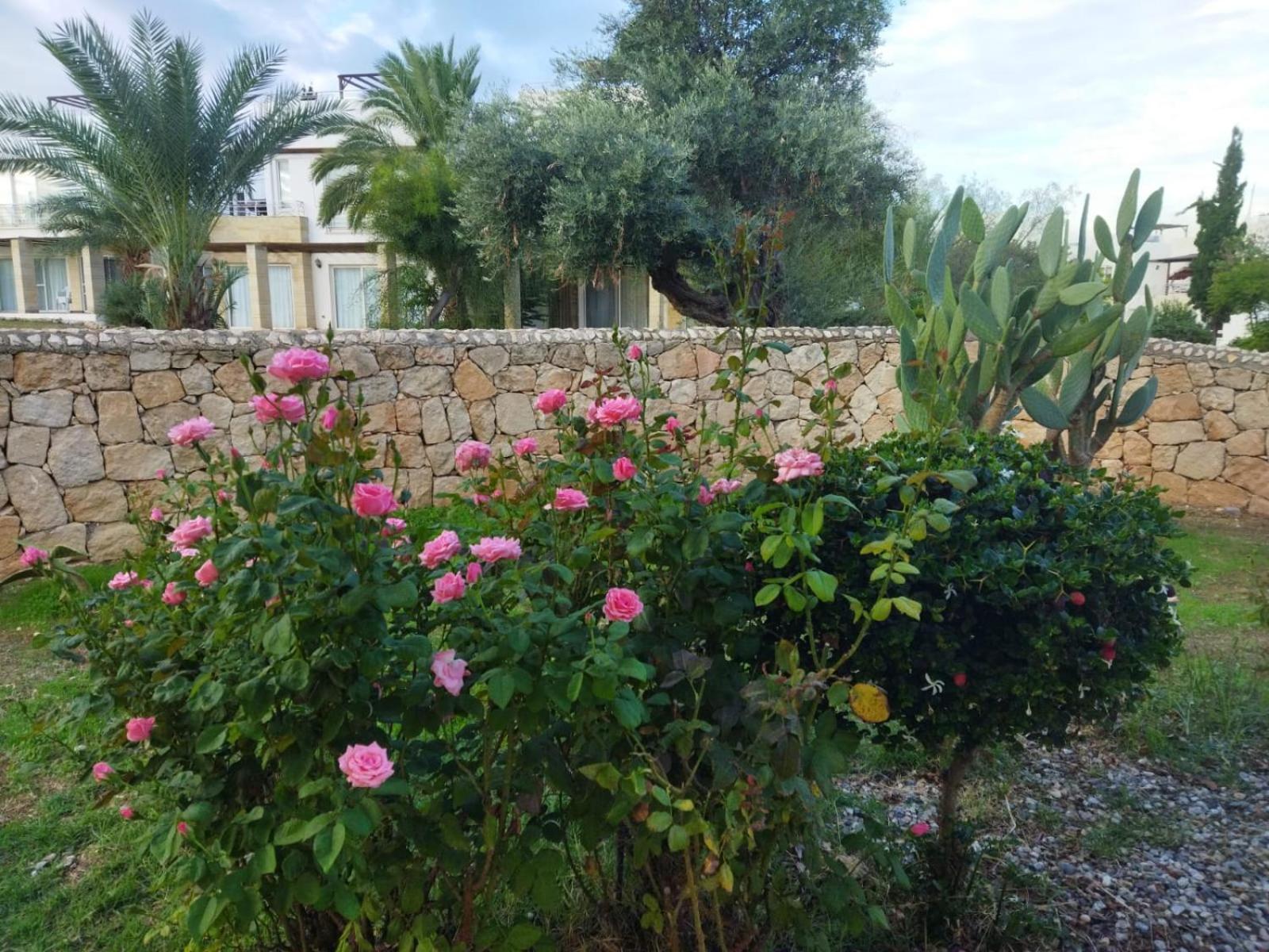 Kyrenia - Esentepe Turtle Village 3 Bedroom Sea With Garden Holiday home